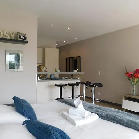 Appartement T2 Cosy Le Baronet Bc05 Climatise *